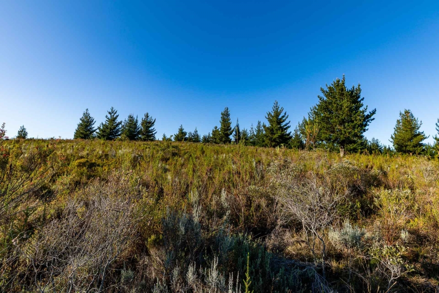 0 Bedroom Property for Sale in Heidelberg Rural Western Cape